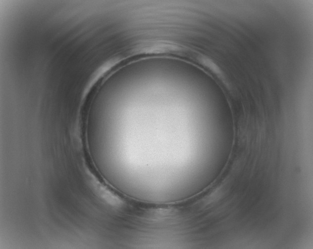 X0000062891122200601131327