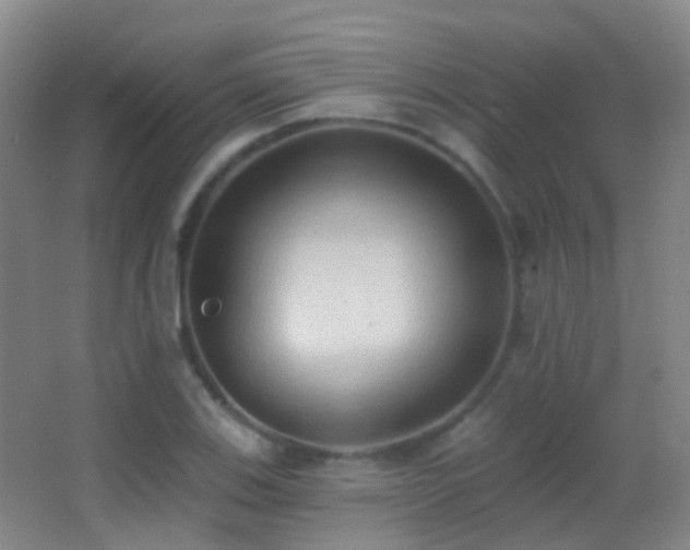 X0000062891123200601131327