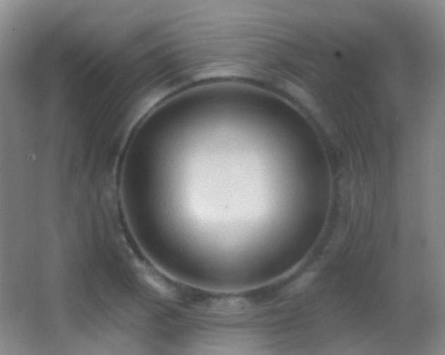 X0000062891129200601131327