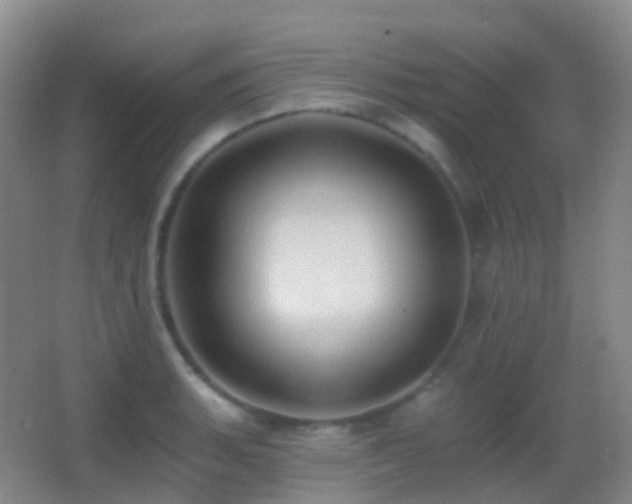 X0000062891135200601131327