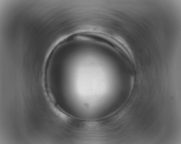 X0000062891136200601131328