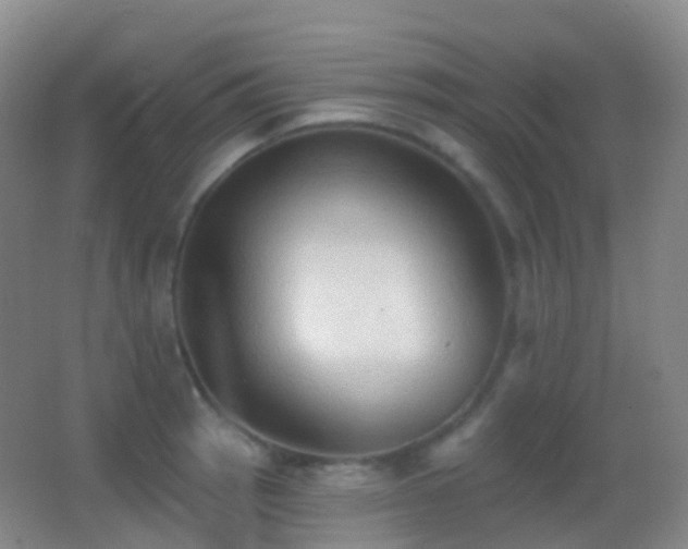 X0000062891137200601131328