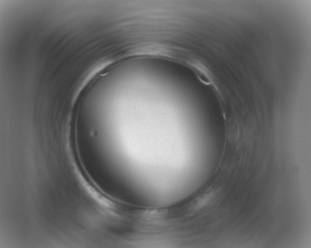 X0000062891139200601131328