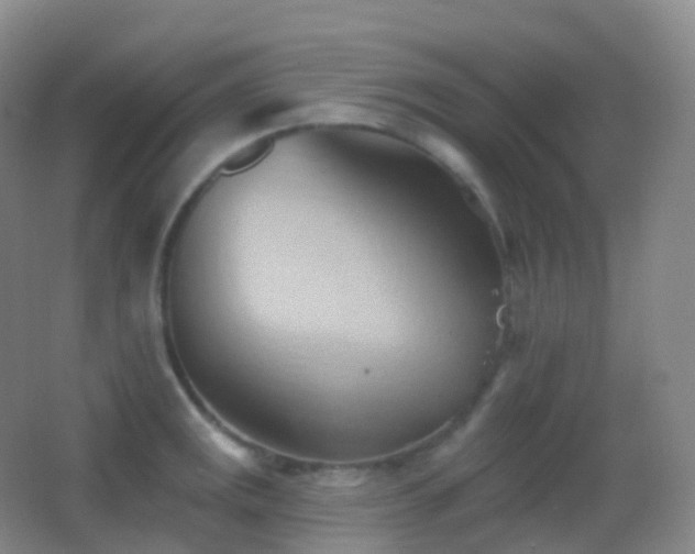 X0000062891141200601131328