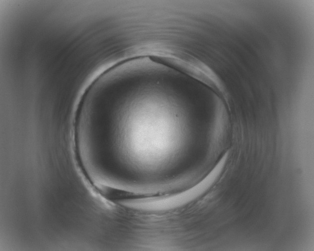 X0000062891144200601131328