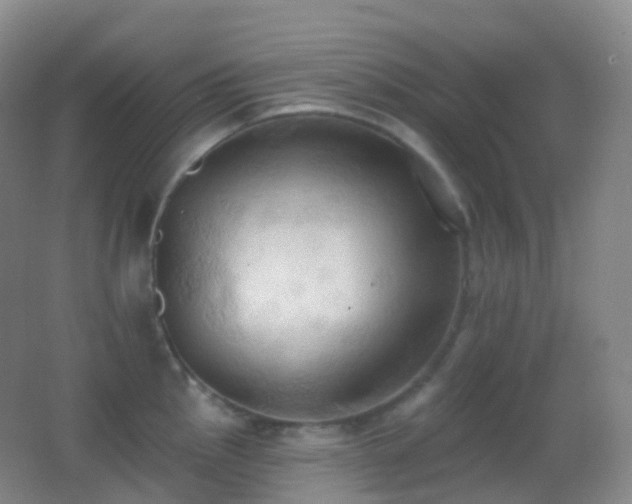 X0000062891145200601131328