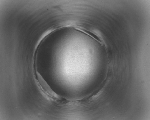 X0000062891146200601131328
