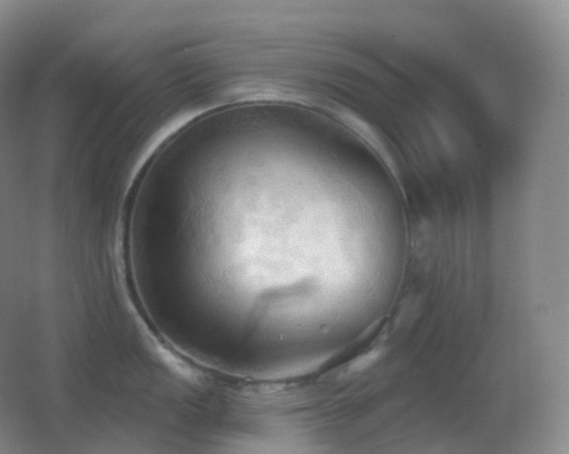 X0000062891149200601131328