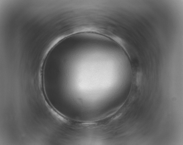 X0000062891151200601131328