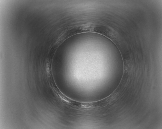 X0000062891154200601131327