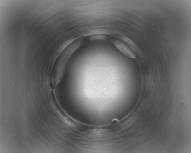 X0000062891177200601131327