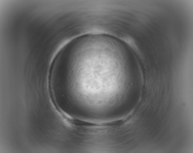 X0000062891183200601131326
