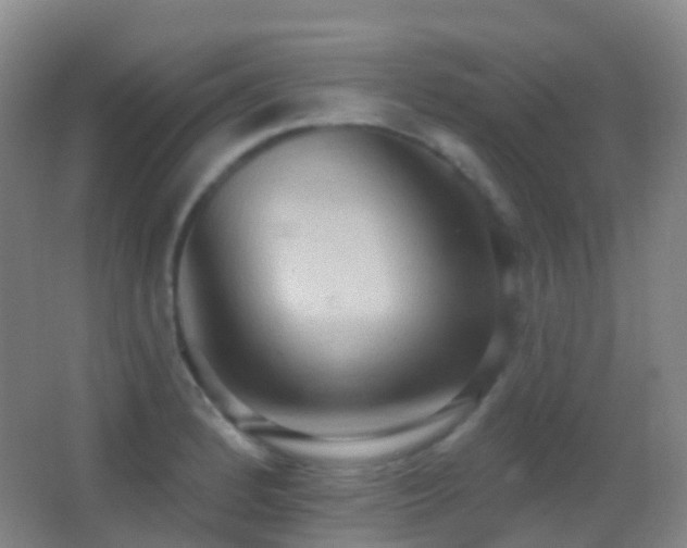 X0000062891184200601131326