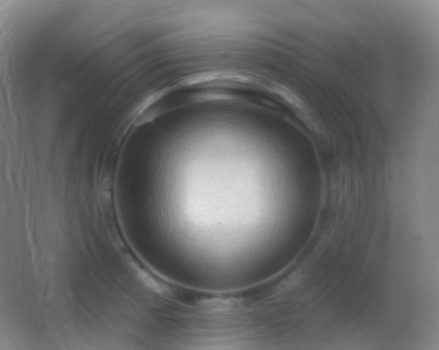 X0000062891185200601131326