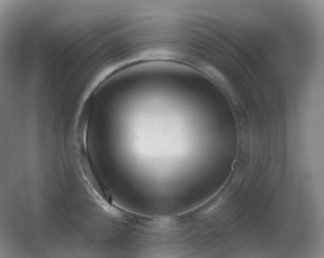 X0000062891192200601131326