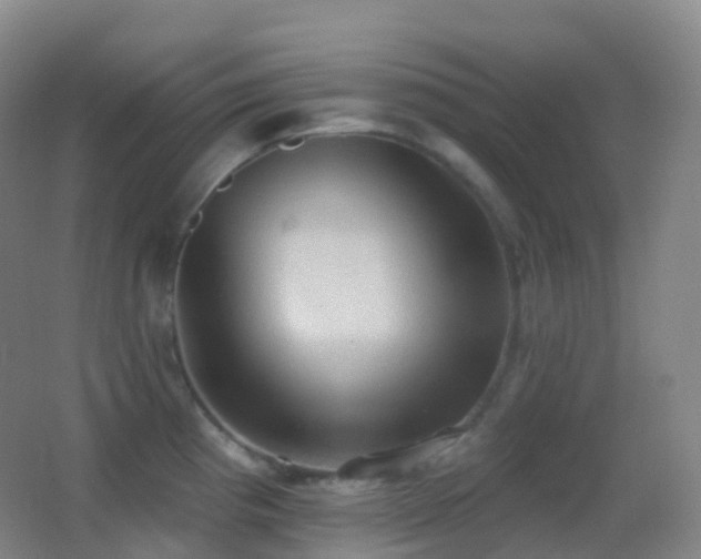 X0000062891193200601131326