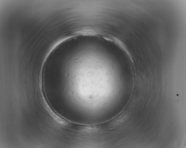 X0000062891195200601131326