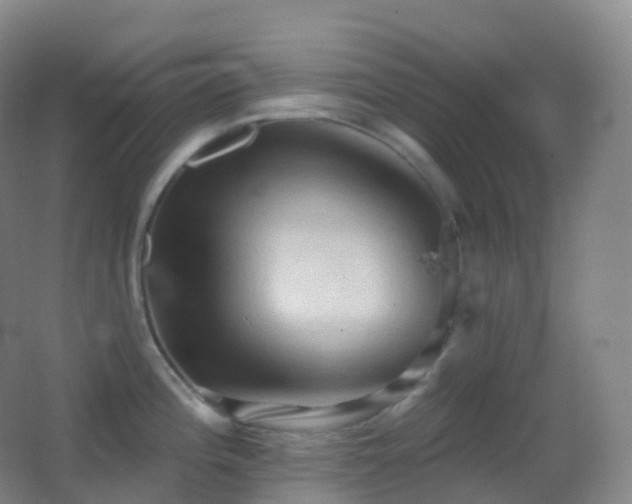 X0000062891196200601131326