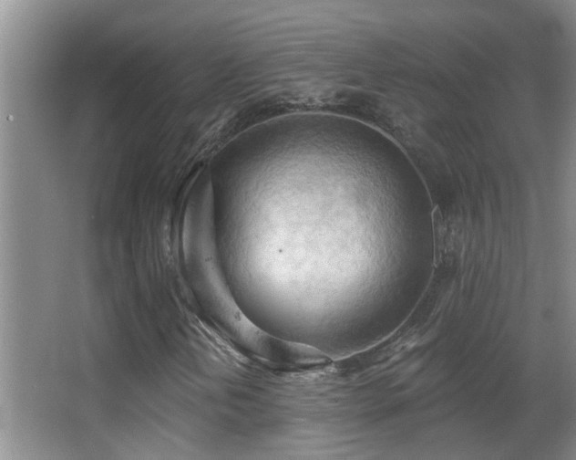 X0000062891202200601131325