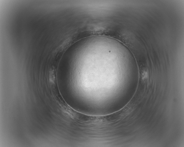 X0000062891204200601131325