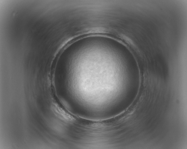 X0000062891212200601131326
