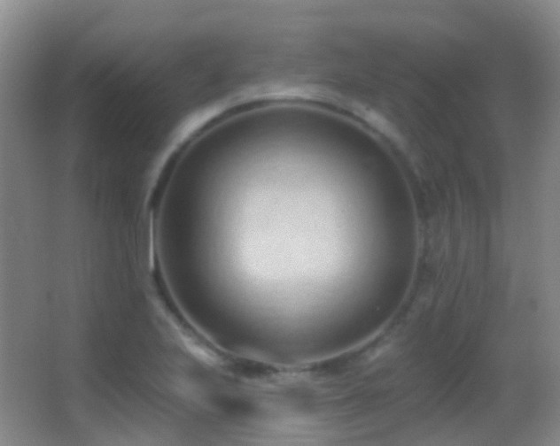 X0000062891223200601131326