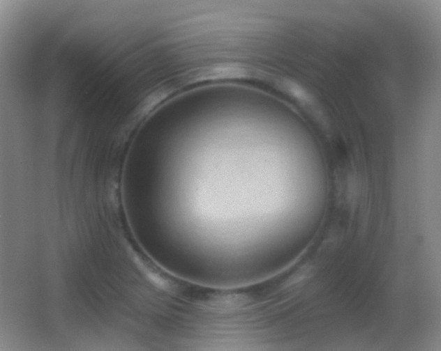 X0000062891225200601131326