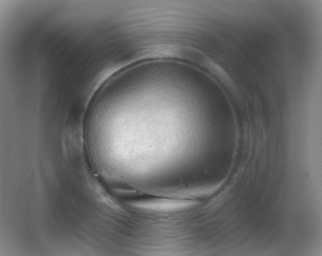X0000062891226200601131326