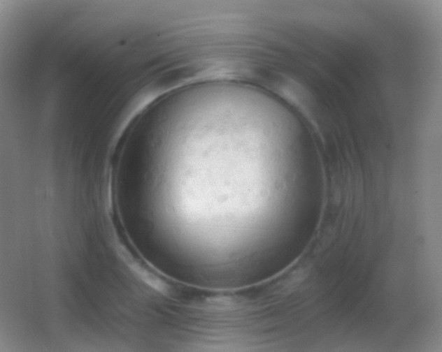 X0000062891227200601131326