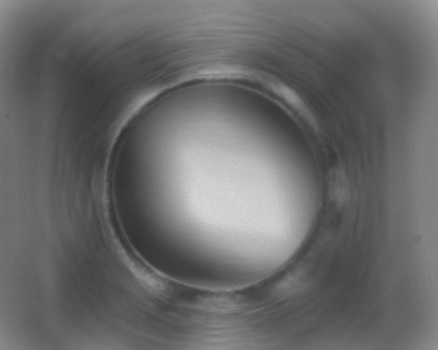 X0000062891229200601131326
