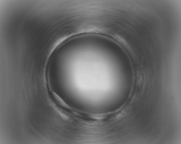 X0000062891230200601131326