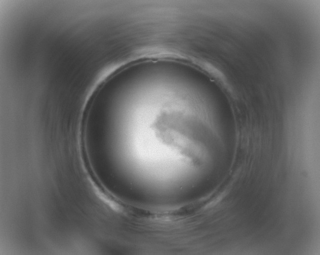 X0000062891231200601131326