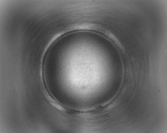 X0000062891232200601131326