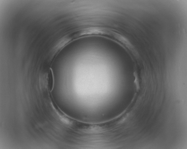 X0000062891233200601131326
