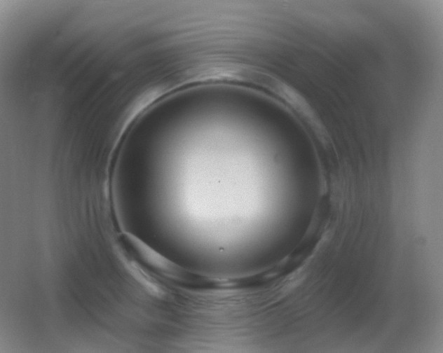 X0000062891234200601131326