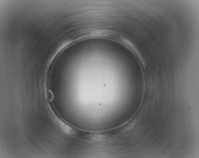 X0000062891235200601131326
