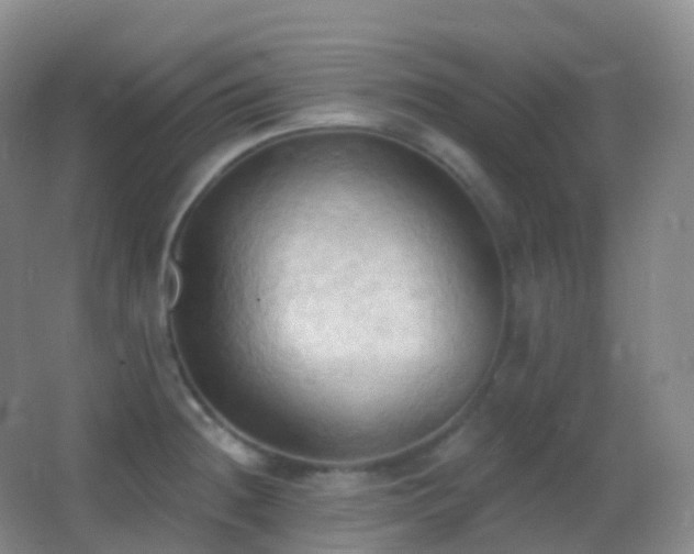 X0000062891236200601131326