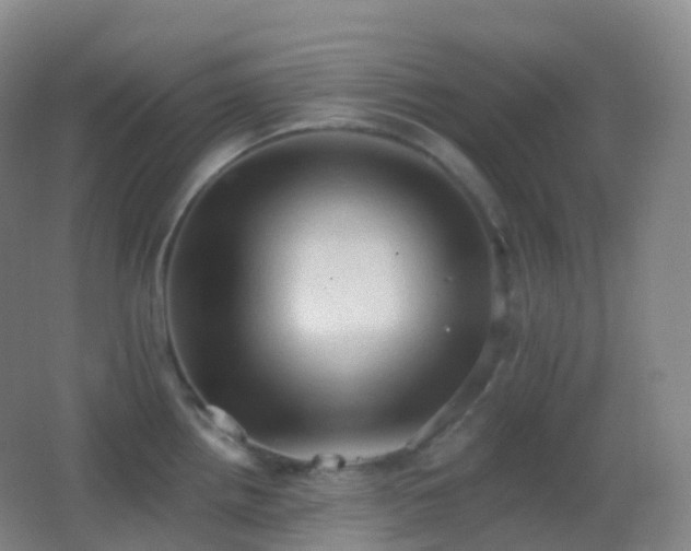 X0000062891242200601131326