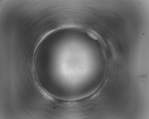 X0000062891244200601131326