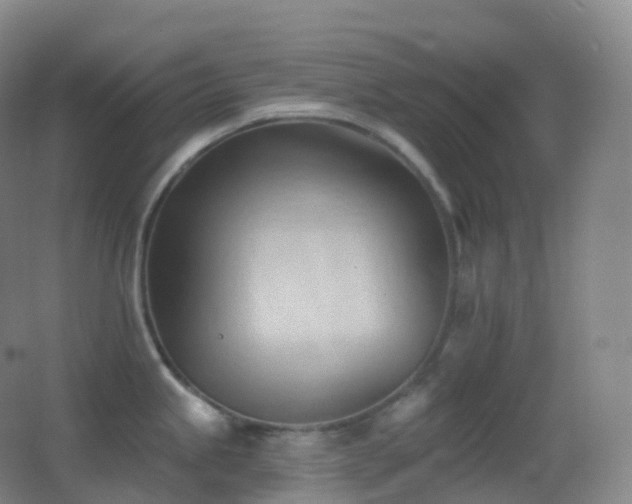 X0000062891245200601131326