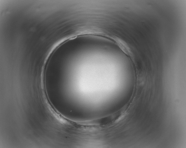 X0000062891246200601131326