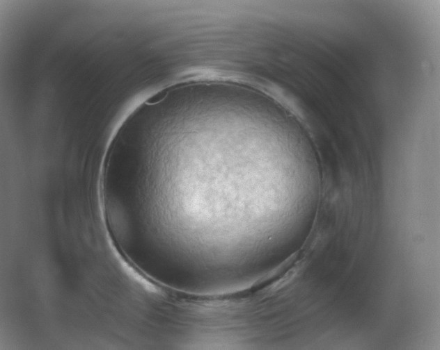 X0000062891247200601131326
