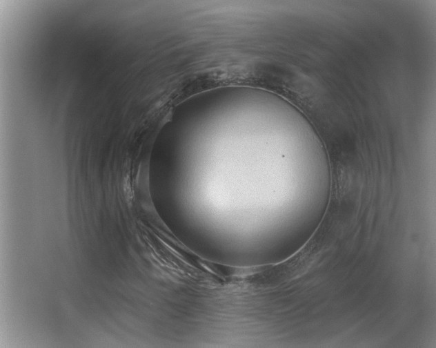 X0000062891250200601131325