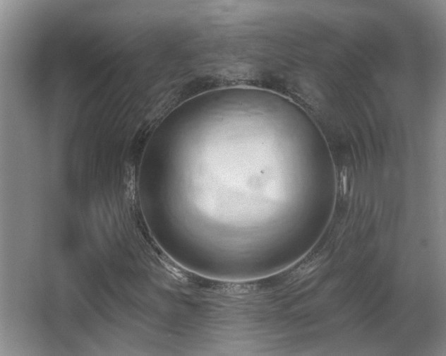 X0000062891251200601131325