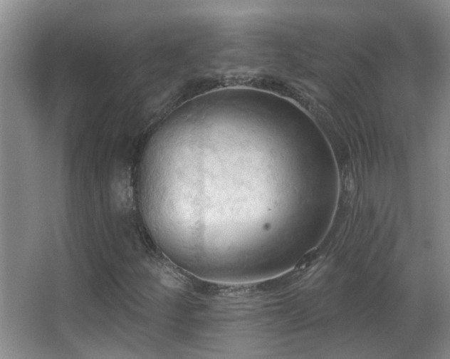 X0000062891252200601131325