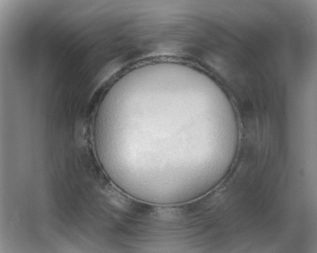 X0000062891258200601131325