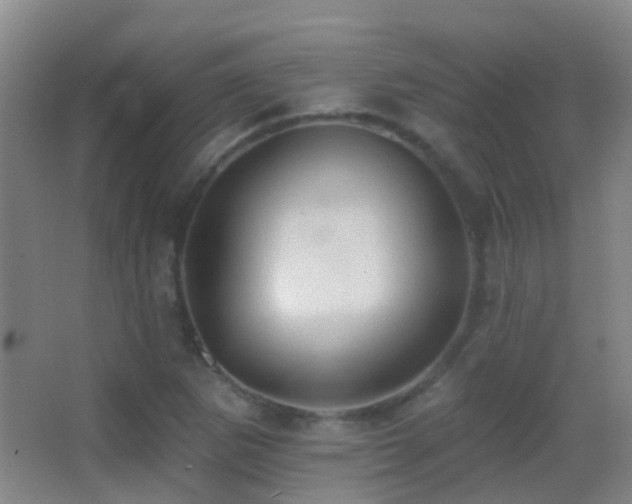 X0000062891265200601131325