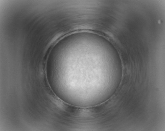 X0000062891266200601131325