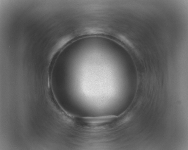 X0000062891269200601131325