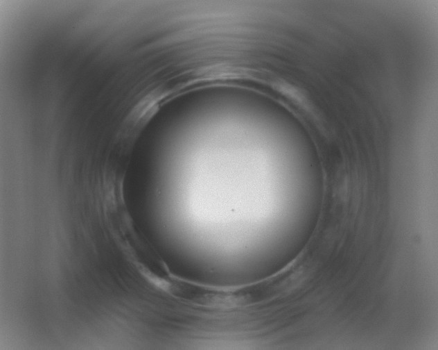 X0000062891273200601131325
